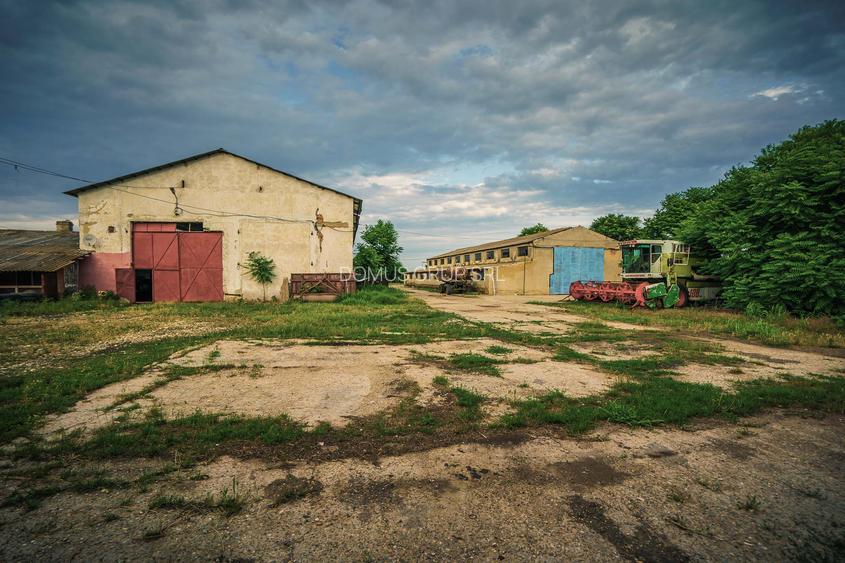 Inchiriere hala pentru depozitare sau productie  – Poarta Alba - 2