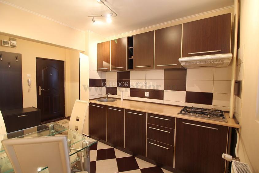 Teiul Doamnei - apartament cu 2 camere renovat 2018 - 4