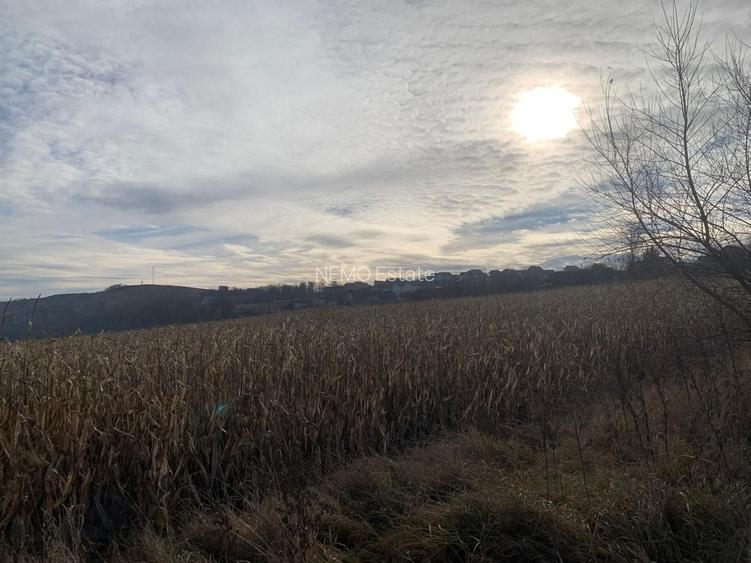 Teren intravilan de vânzare | Cajvana | 7.800 mp - 10