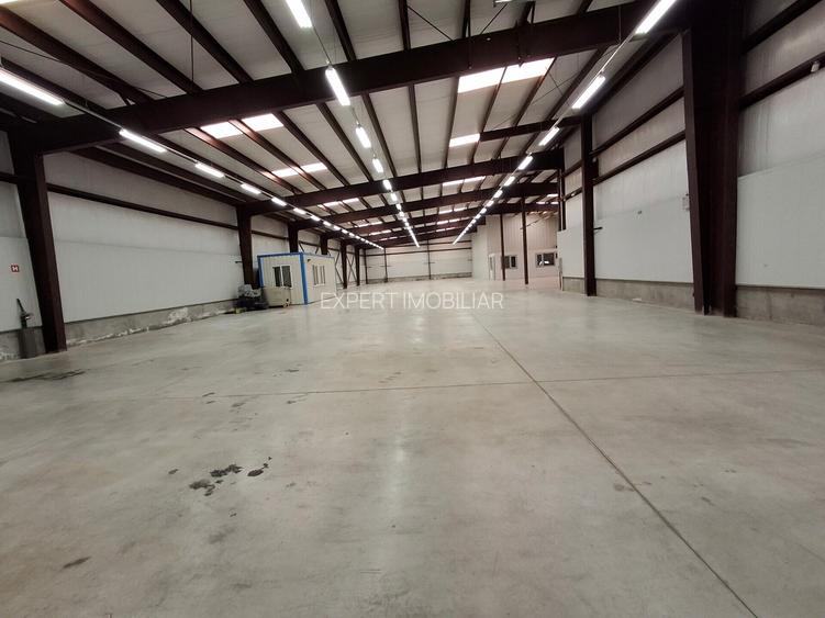 Hala productie /depozitare spatii cazare Branesti/Makita - 16