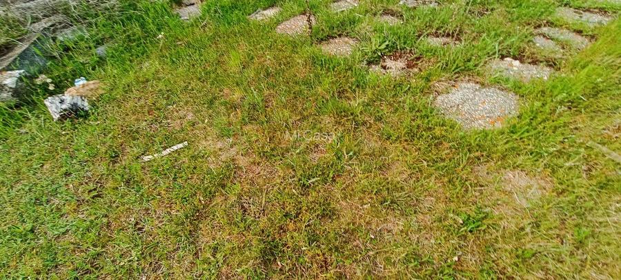 Teren in localitatea Reci,langa lacuri - 11