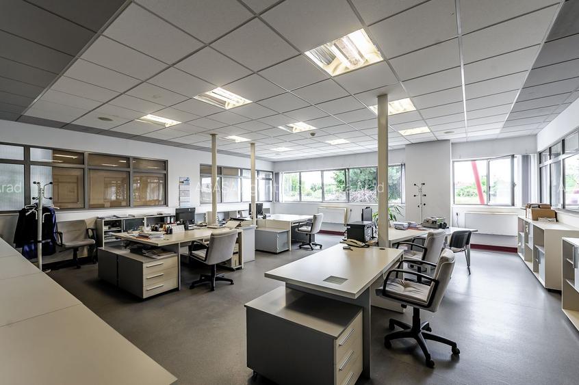 Oportunitate: Hală de producție și depozitare cu birouri în Arad - 9