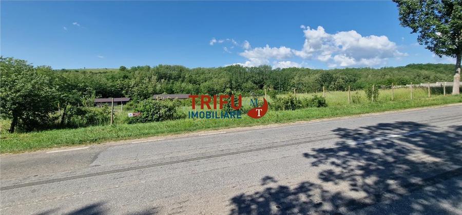 Teren de vanzare zona Teleac