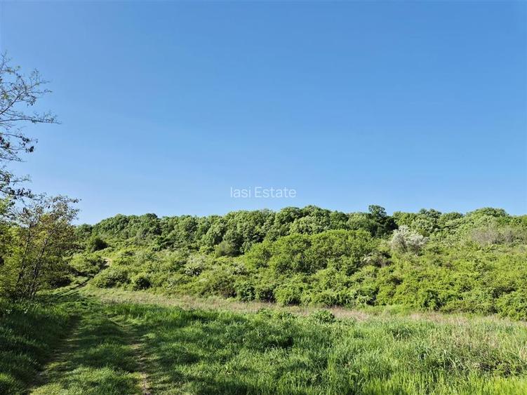 Teren pentru casa cu vedere frumoasa - 7