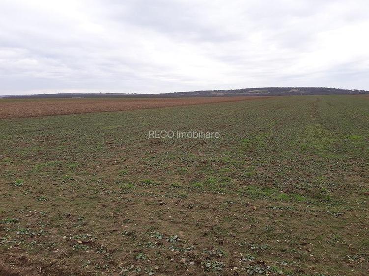 RECO Teren in Santandrei 29 100mp - 2