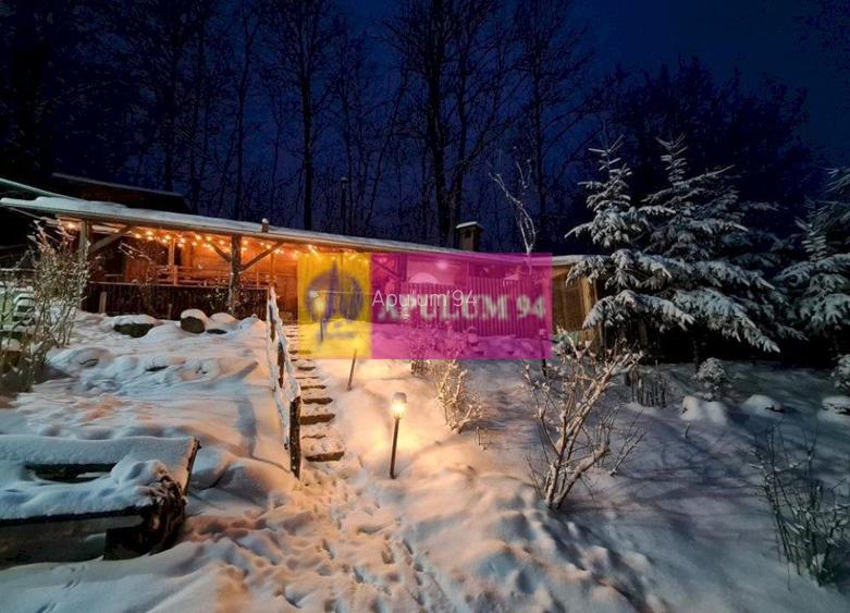 Casă de vânzare în Provița de Jos - 29