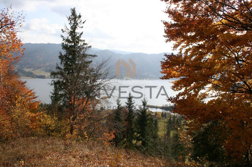 Oportunitate langa lacul Colibita! Teren intravilan 12.588 mp! - 5