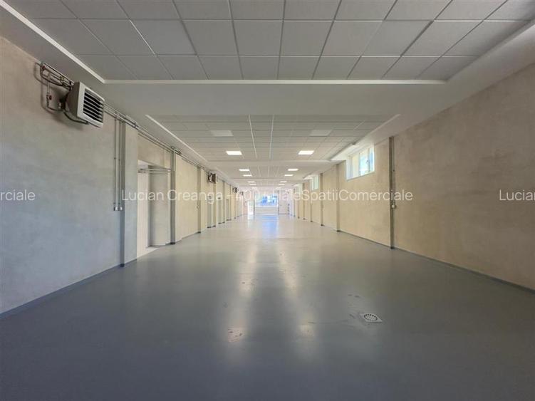Spatiu Valea Lupului, Antibiotice, multifunctional, 334mp - 17