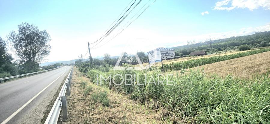 Teren de vis în Sat Moi, Comuna Bâlteni – cu deschidere la drumul european E79 - 5