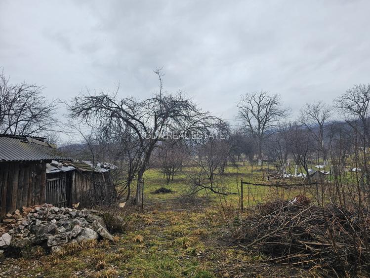 Casă la țară cu 5 camere + teren suprafață 1852 mp, Sat Câmpani, Bihor - 3