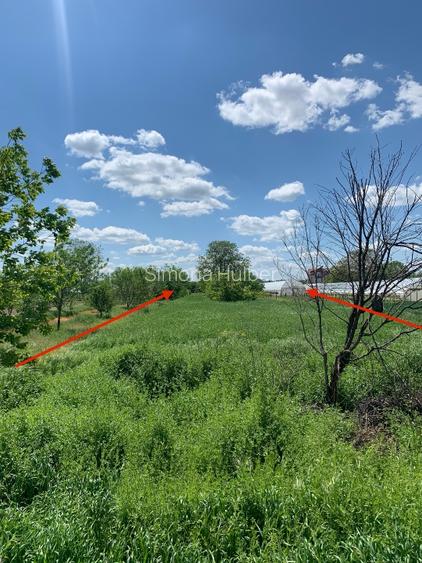 Teren intravilan de vanzare Copaceni Ilfov pentru dezvoltare rezidentiala - 6