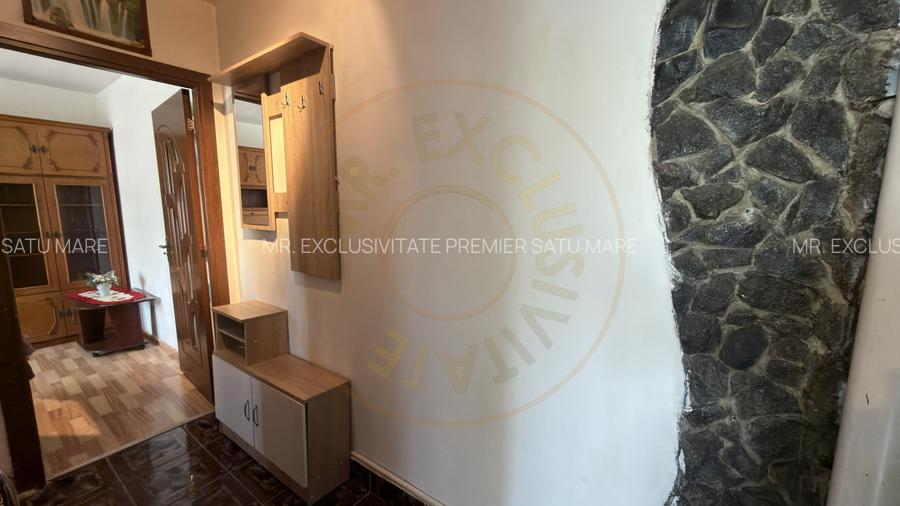 Apartament 2 camere Zona Penny Etaj III, Ignișului 26 - Carei - 10