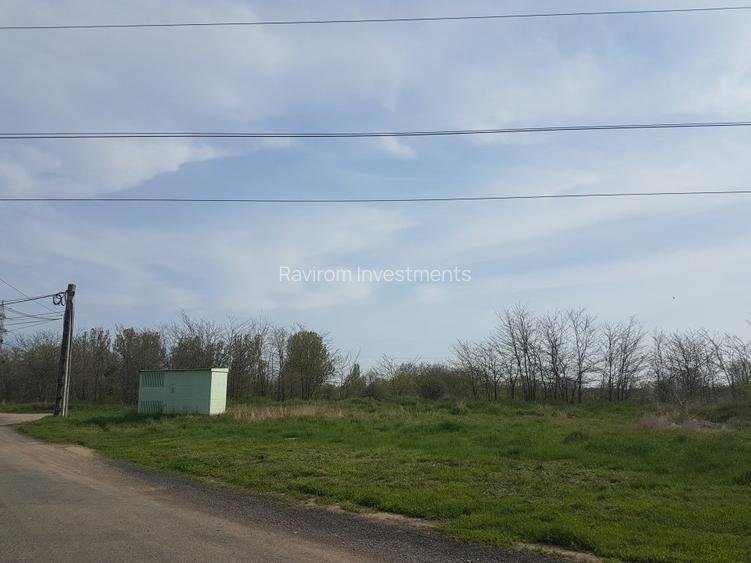 Teren 1.598mp, deschidere dubla, cea mare de 70ml, strada Arinilor, Gheraiesti - 4