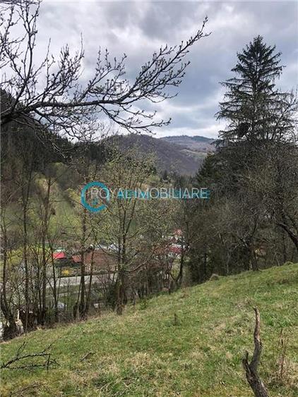 Royal Imobiliare-Vanzare Teren Zona Voineasa - 4