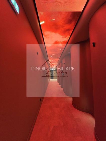 STUDIO DUBLU CORTINA NORTH I LUX I DIRECT PROPRIETAR I Loc parcare - 29