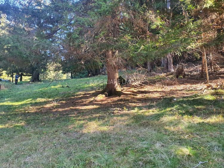 Teren Construcții intravilan de 2000 mp, în Poiana Brașov - 9