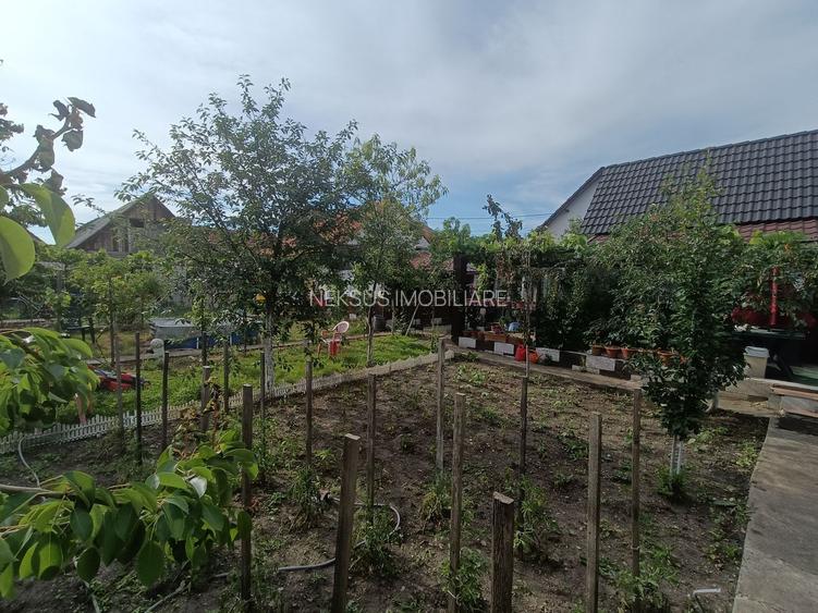 Casă de vanzare cu 4 camere 107 mpu pivnita anexe curte gradina Sebes - 15