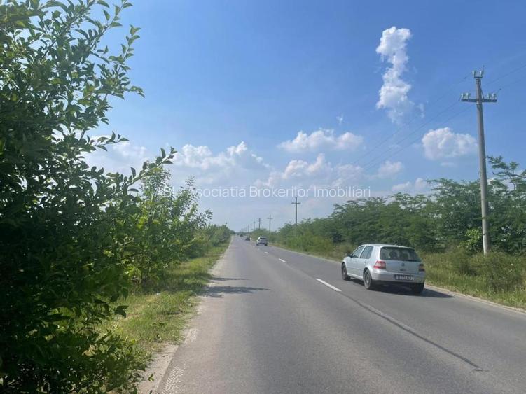 Vanzare teren intravilan Cernica_Tânganu, lot 954mp - 6