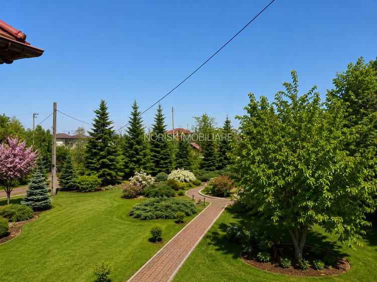 Oportunitate Rară în Ciorogârla– 8.000 mp Teren | Dublu Acces Asfaltat - 7