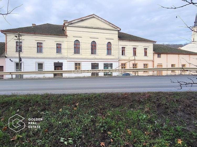 Proprietate tip conac, teren 4468 mp, oras Lipova - 2