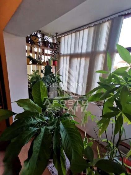 Apartament cu 3 camere de vanzare, 2 bai, zona Dambovita, Timisoara - 8