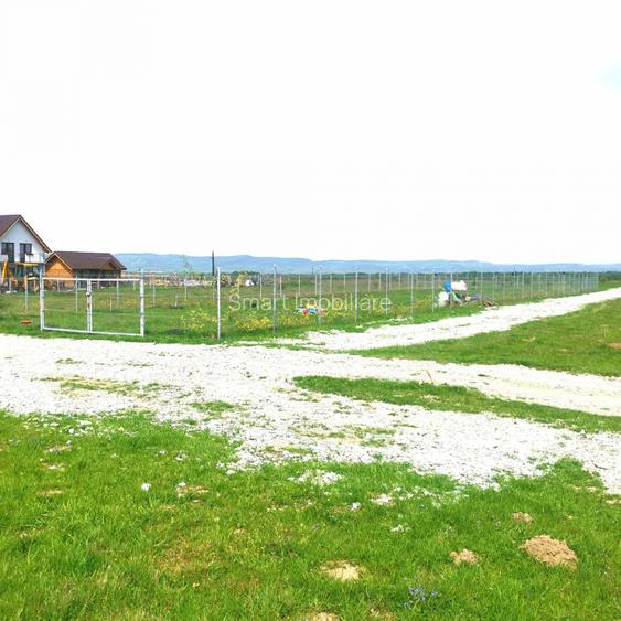 Teren extravilan Valea Avrigului 8000mp zona Panoramic Park - 3