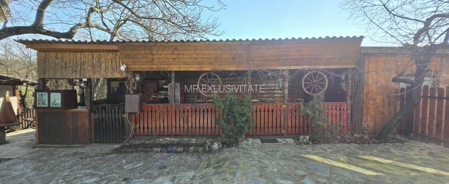 Proprietate de excepție în Lelești – la doar 8 km de Târgu Jiu - 30