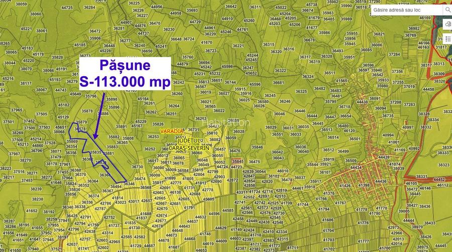 Pășune 11,3 ha – Vărădia, Caraș-Severin – 6.000 €/ha - 2