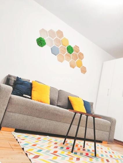 Garsoniera, Baneasa, Somesu Rece - 4