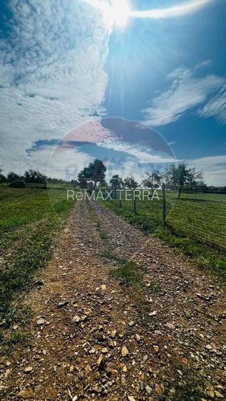 Teren zona superba Șișești - 6