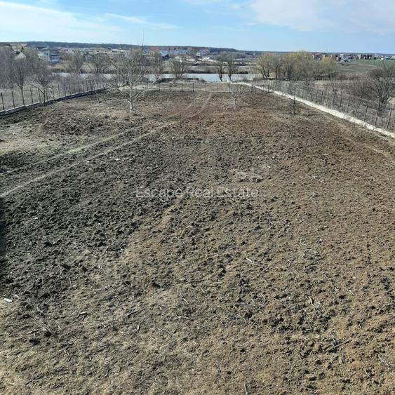 Teren la Lac intravilan construcții Corbeanca Ilfov - 5