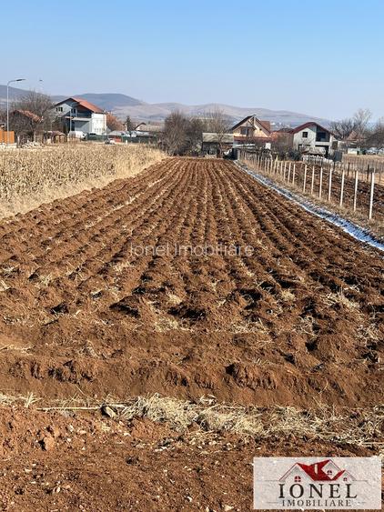 Casa de vanzare in Alba Iulia -2100 mp teren - 6