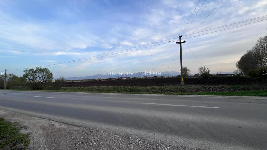 Teren 50000mp Extravilan-Intrare Halchiu-Cod 5235 - 4