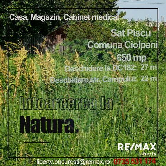 Oportunitate Investiție: Teren in Piscu, Ciolpani–Vizibilitate maxima - 6