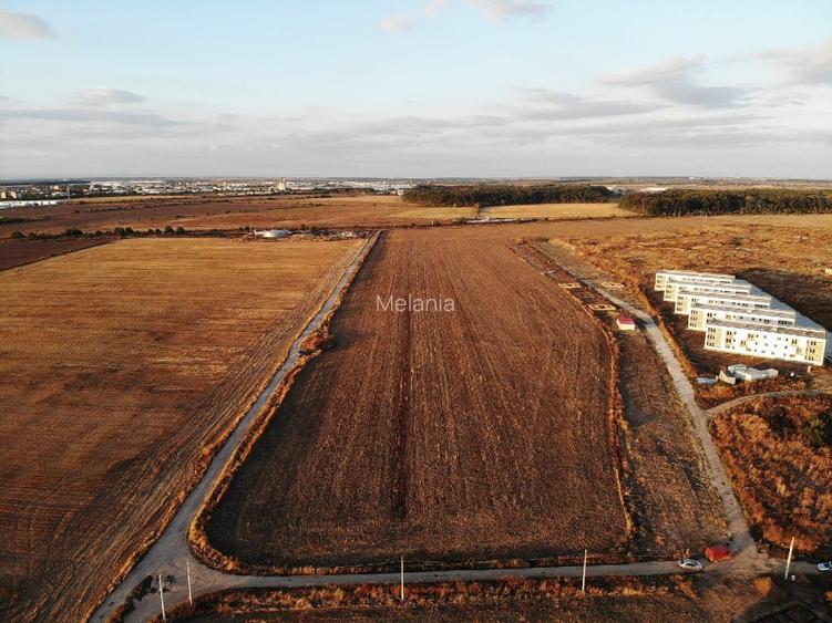 47500mp INTRAVILAN Pantelimon ideal investitie/ cartier case/ direct proprietar! - 8