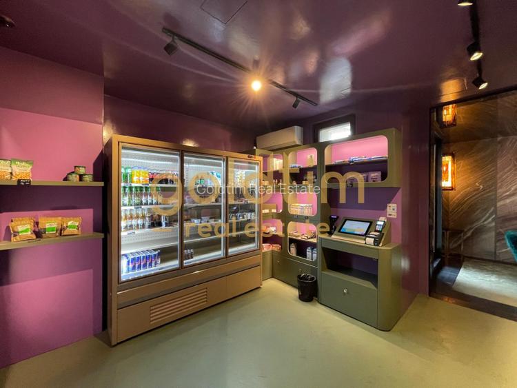 APARTAMENT UNIC/CONCEPT HOUSE/DESIGN/SERVICII HOTELIERECOMPLETE/PRIMAVERII - 45