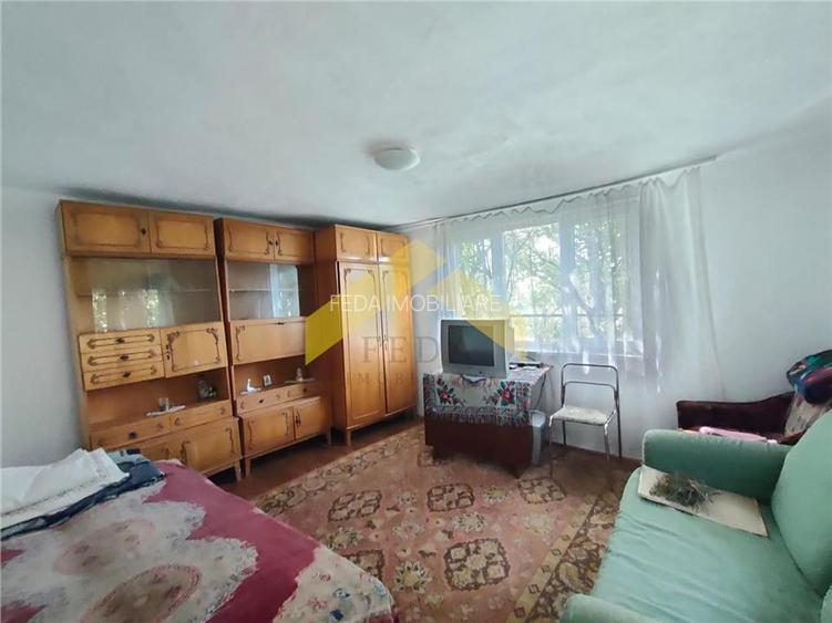 Casa de vanzare in Bodrogu Vechi - 6