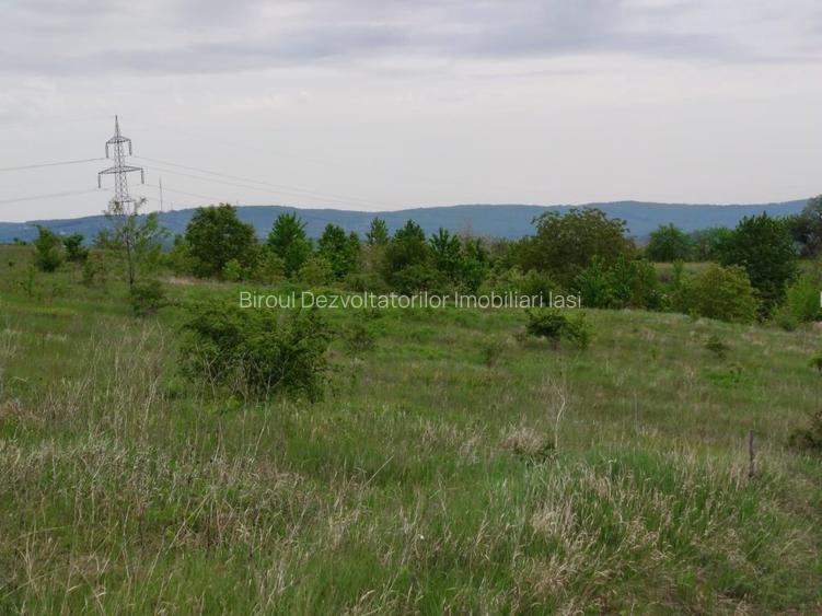 Teren intravilan 1800 mp, Centura-Ciurbesti-dubla deschidere - 6