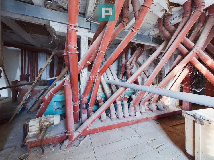 Moară de vânzare în comuna Periam, județ Timiș - 6