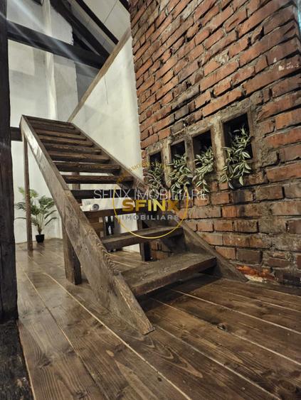 Cismigiu, inchiriere vila interbelica renovata, curte mare, parcare - 12