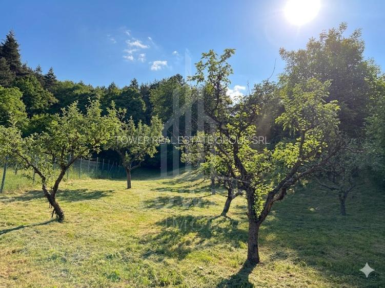 Casă rustică de vânzare în Tilișca, (Marginimea Sibiului) - 21