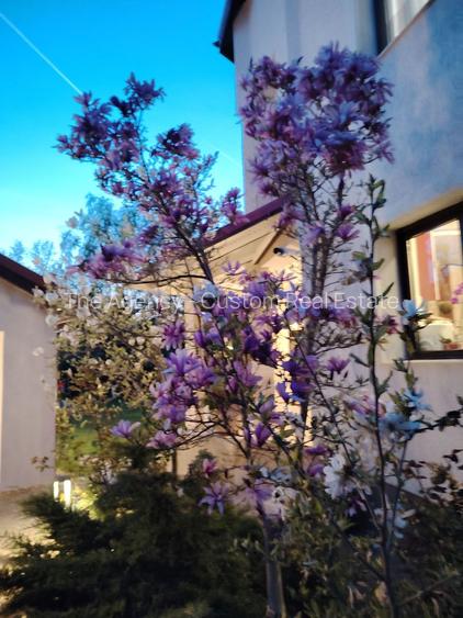 Casa individuala armonioasa -7 camere  -Corbeanca, str. Iepurasului - 33