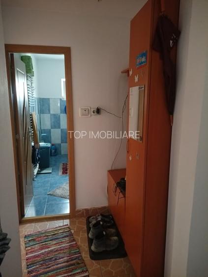 COMISION 0% | OPORTUNITATE ÎN TIMIȘOARA – Zona Dâmbovița (Nora) - 10
