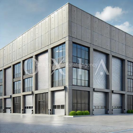 AX1132 Calea Sagului, Platforma Industriala, 7.387 MP - 4