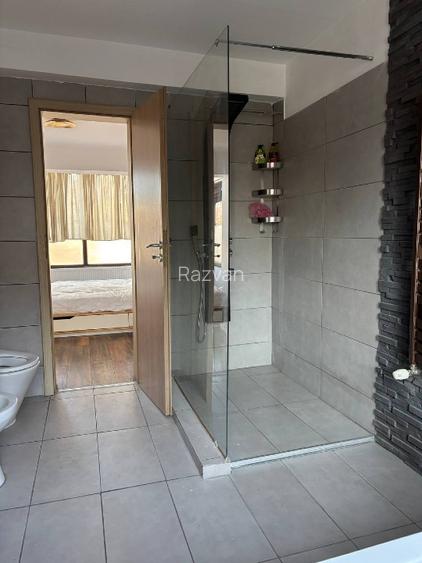 Vila langa lacul Baneasa, parcul Herastrau, zona Nord - 7