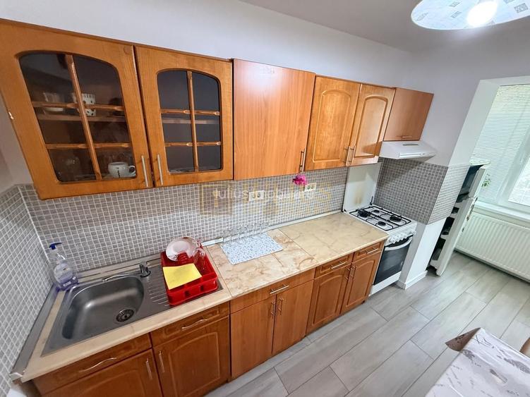 2 camere| zona Titulescu-Nokia| vis a vis de malul Bega| Pet Friendly| - 16