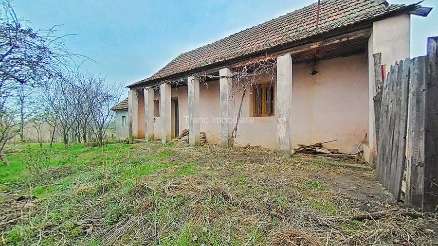 Casă cu potențial, teren generos de 1.440 mp – Secusigiu, Arad - 4