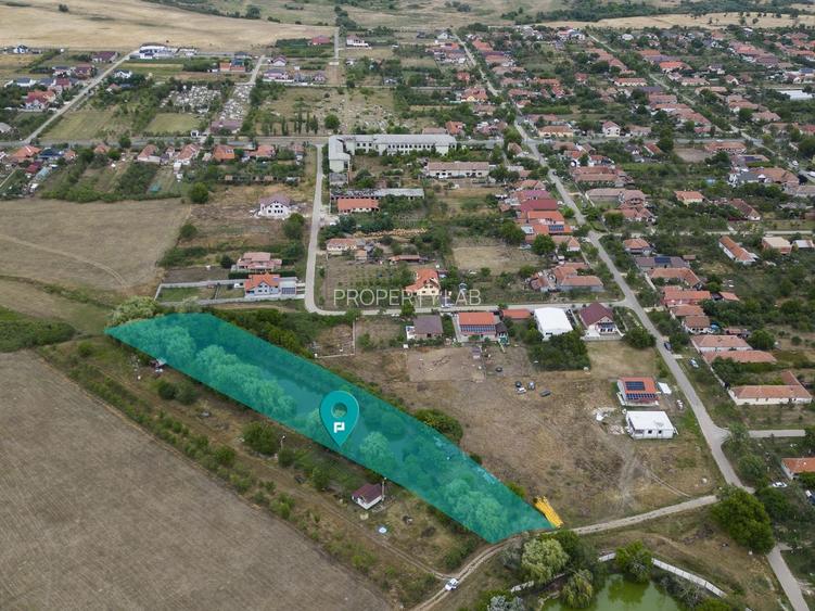 Teren de 7900 mp cu baltă de pescuit în Frumușeni - 2