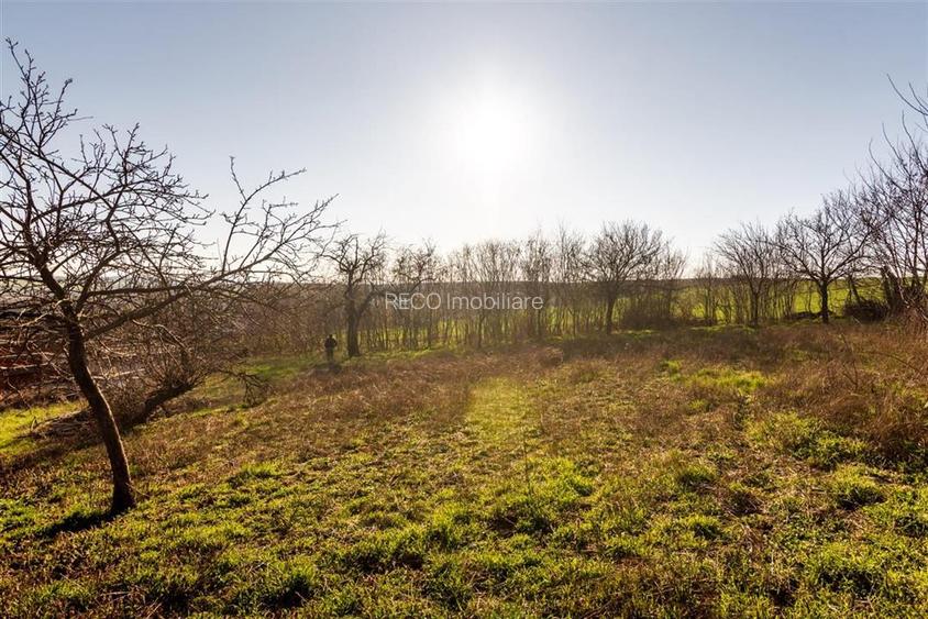 RECO. CASA LA ROSU , CETARIU - 14