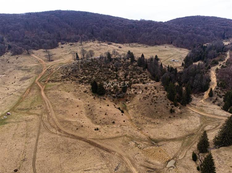 Teren Intravilan 6500 MP- Valea Poienii Aviatorilor ,Aproape de Poiana Brasov si - 8